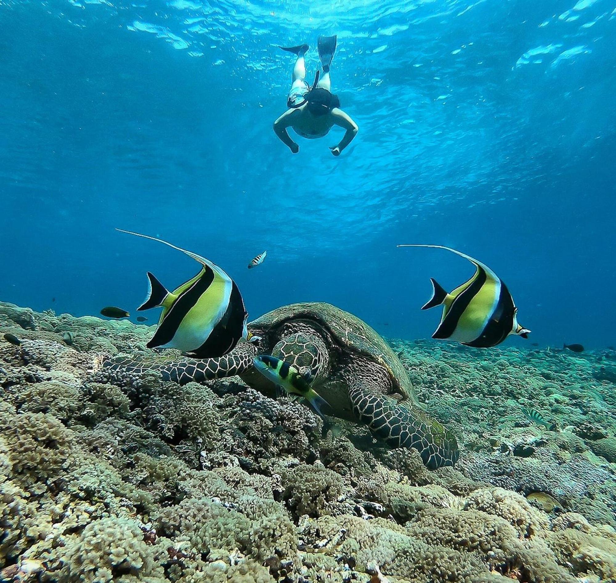 Kokomo Gili Trawangan